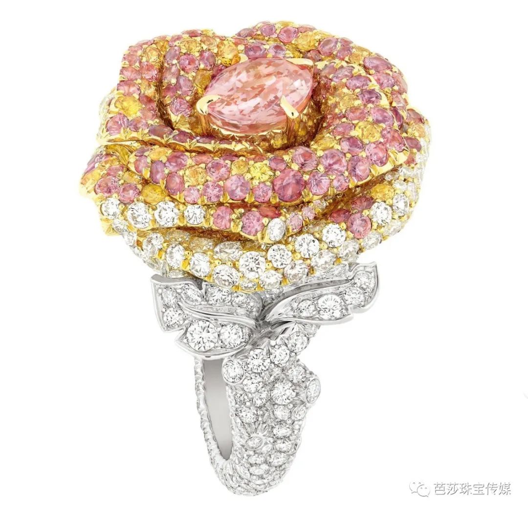 整天研究无聊的穿搭,一天到晚研究穿搭