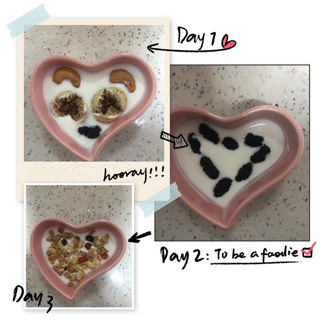 酸奶机有必要买吗,酸奶机的使用说明