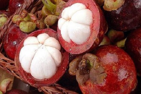 山竹的一些简单介绍和注意事项,怎样的山竹才是能吃得好山竹