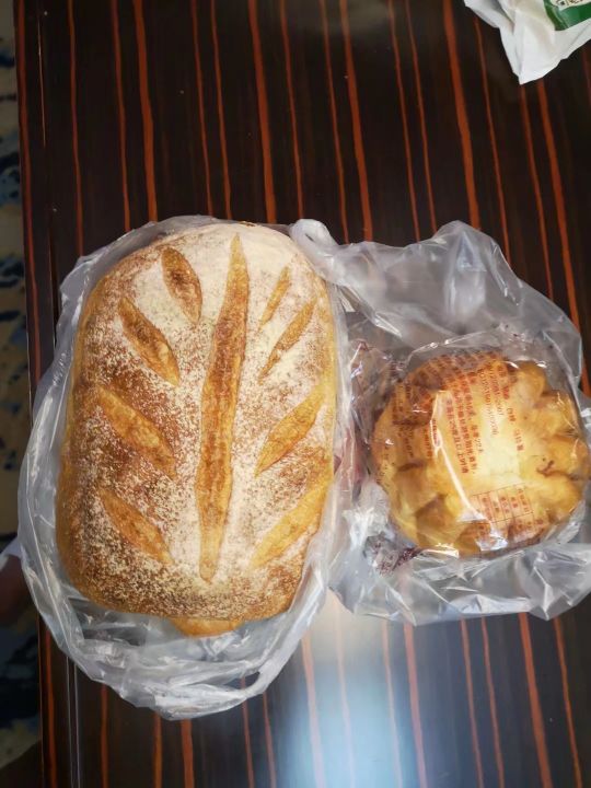 哈尔滨海拉尔呼伦贝尔旅游游记,哈尔滨漠河满洲里旅游攻略