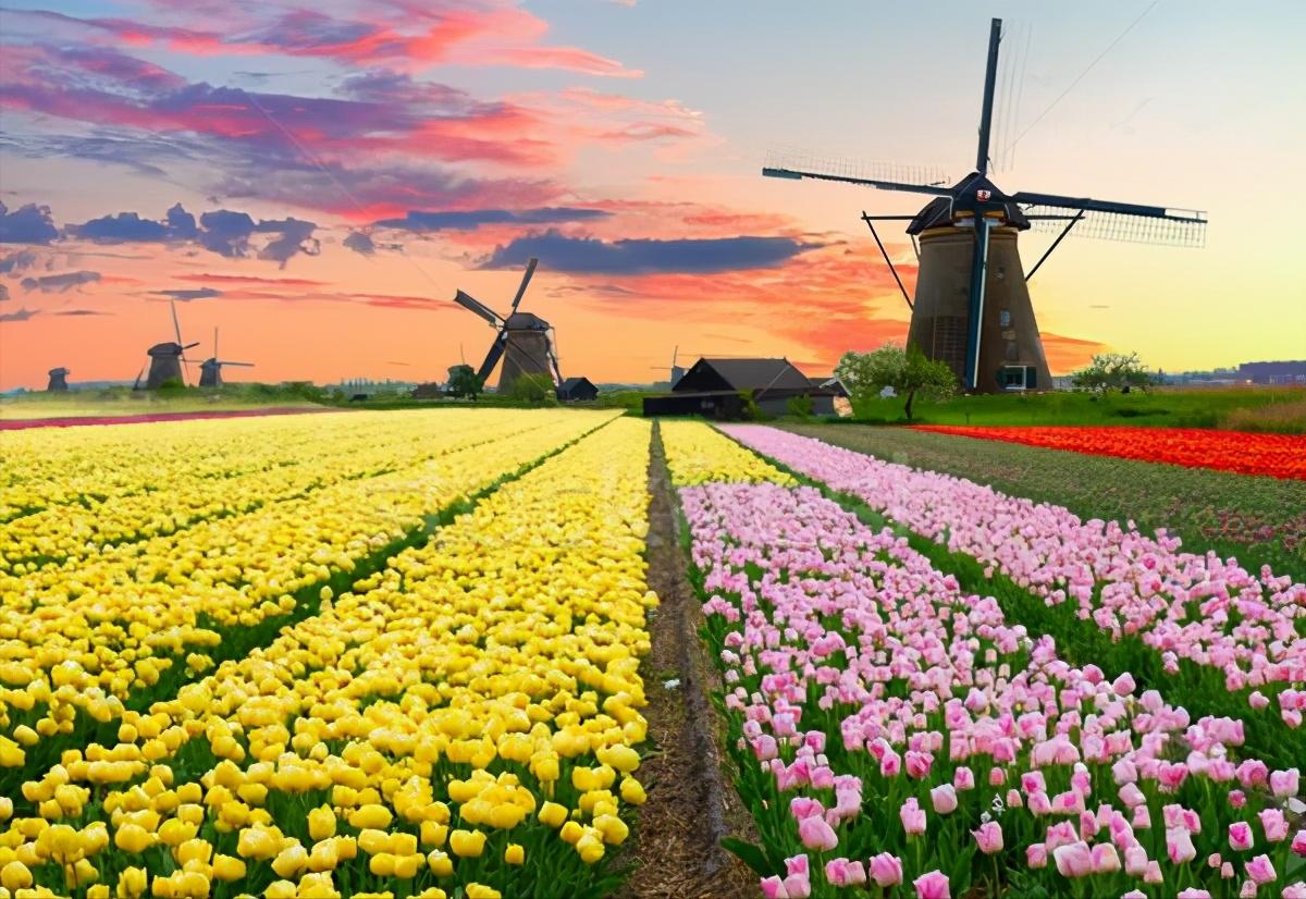 罕见的25面额纸币，17世纪的科学家出现在风车王国的钞票上