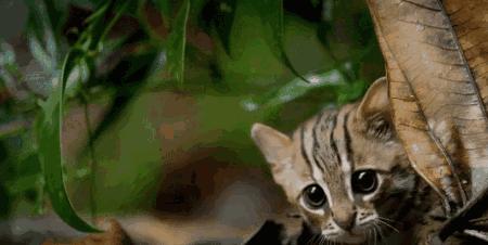 长春家长都领着孩子在干这件事儿,你没做,就落后了!