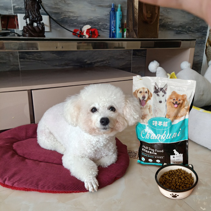 素力高狗粮怎么样,豆柴和素力高狗粮哪个更好