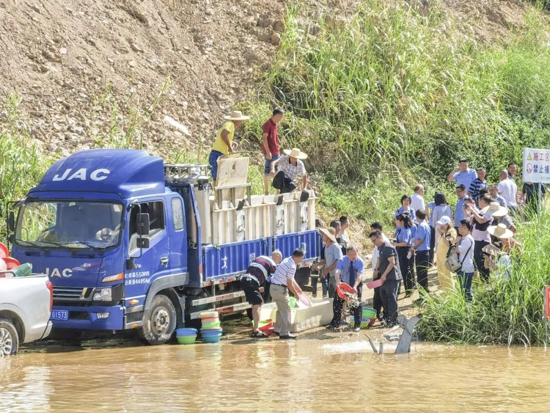 我为群众办实事法院工作报道,我为群众办实事与乡村振兴相结合