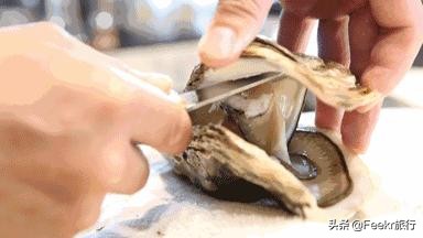 广东著名渔港开渔,广东开渔季节