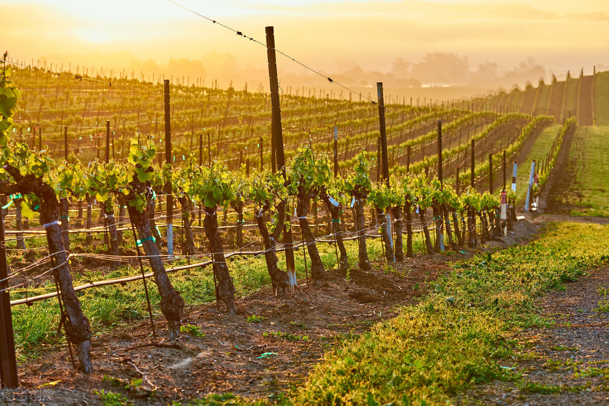 2024三门峡第二批重点项目,2021三门峡第四季度开工项目