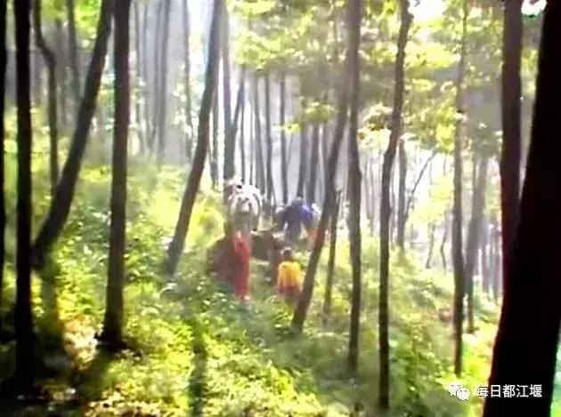 哪些电视剧在都江堰有取景,都江堰取景拍摄电视剧