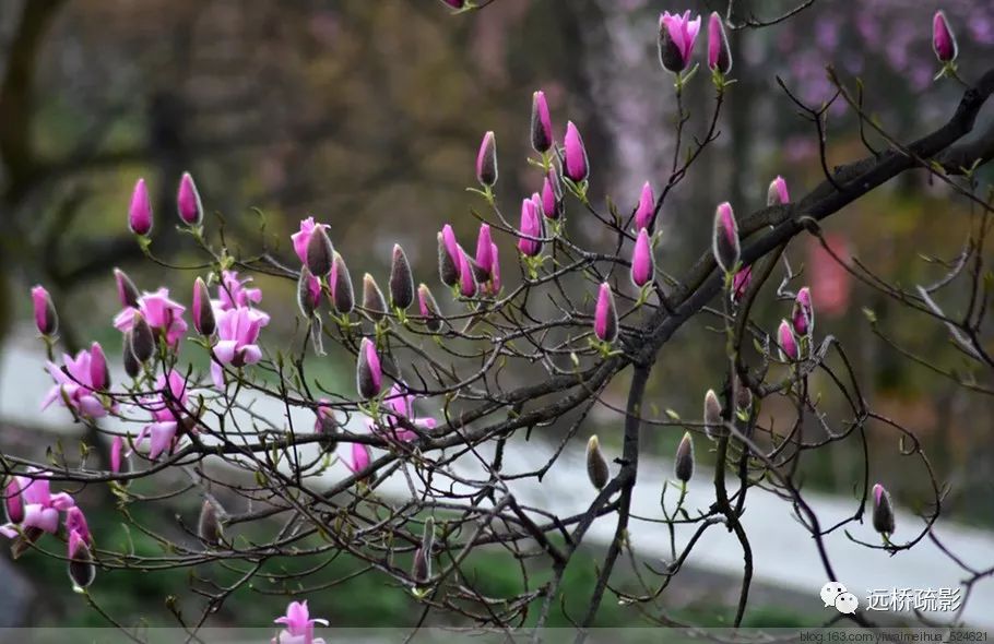 药王谷里觅旧迹（原图文）