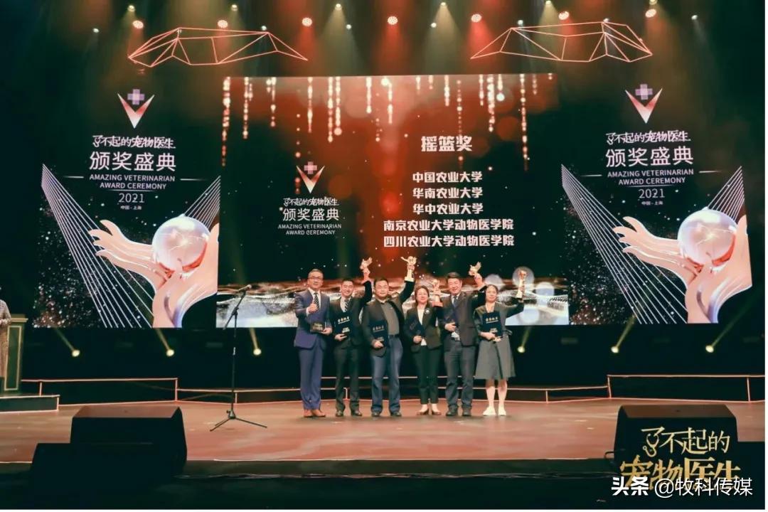 初心如磐笃行致远中国人寿,初心如磐笃行致远军训落幕篇