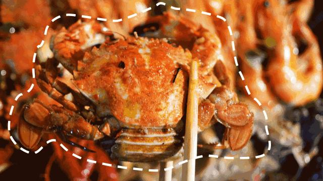 秦皇岛海鲜有哪几种比较好,这时的秦皇岛有哪些海鲜正当季