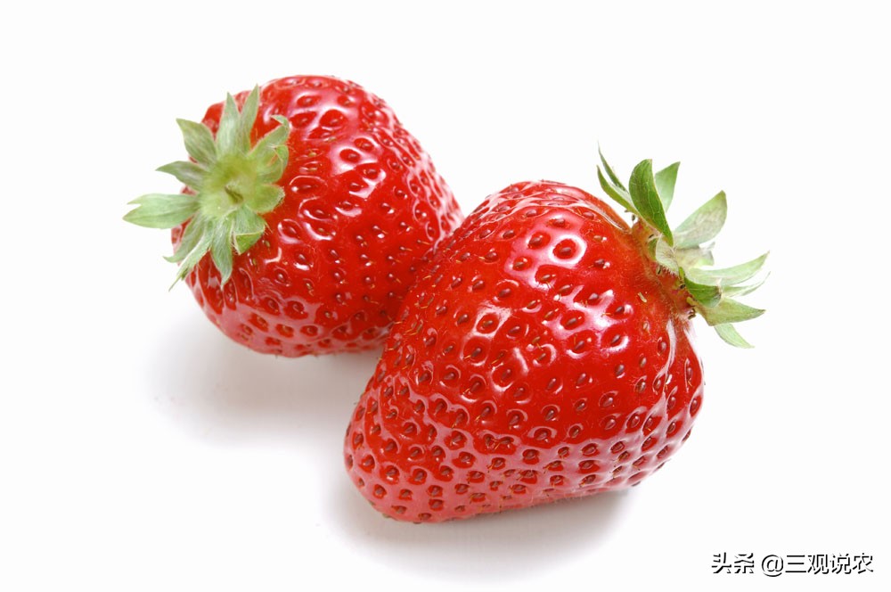 造成草莓畸形果的原因是,草莓花束头果出现畸形是什么原因