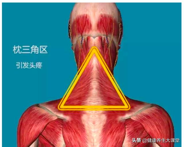 人体的十大危险区是什么,人体危险三角区指的是哪个部位