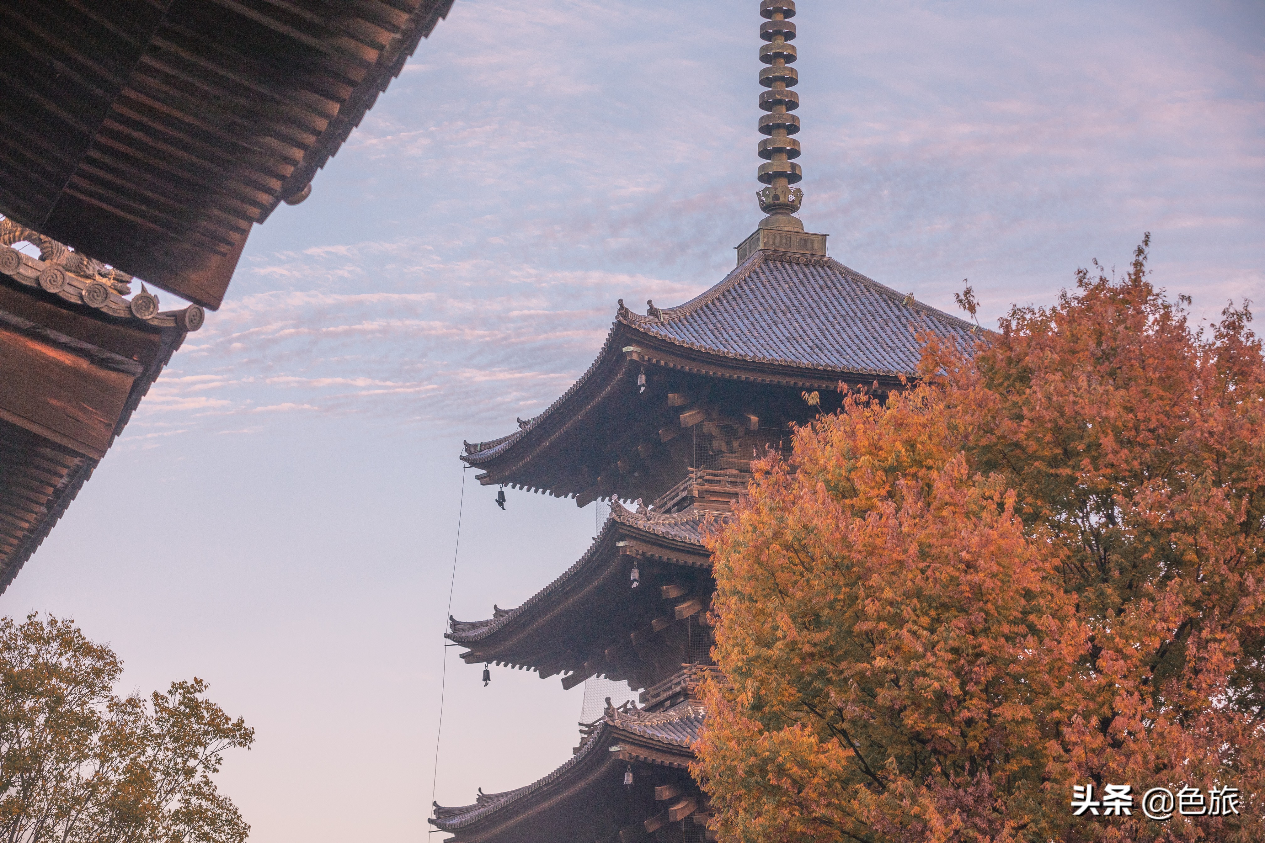 妖猫传日本访唐,妖猫传日本大师