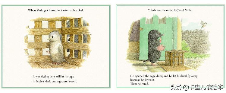 英文绘本动画故事完整版,英语绘本鼹鼠和小鸟