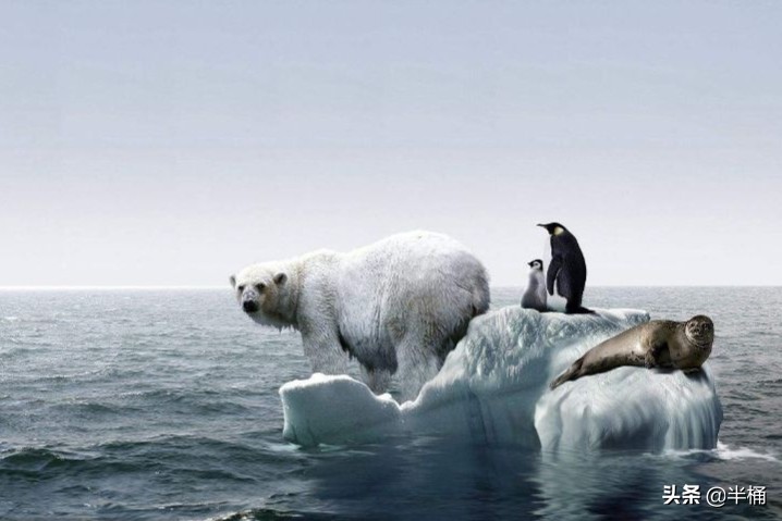 6500万年前恐龙灭绝的真相视频,揭开6500万年前恐龙灭绝的真相