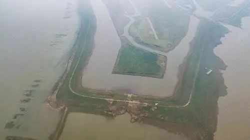 铲除黑色势力,铲除黑势力