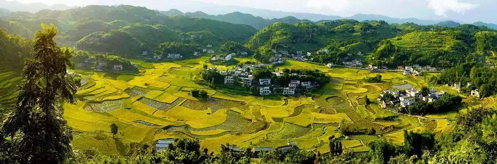 宜宾各区县2023年gdp排名,千年老三成绩