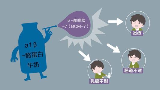 a2酪蛋白的优点和缺点,a2β-酪蛋白和a2生牛乳区别