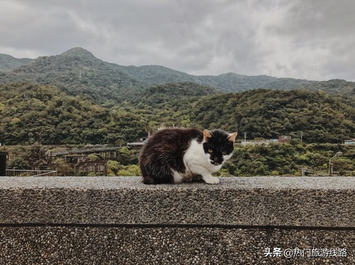 台湾猴硐猫村值得去吗,猴硐猫村旅游攻略