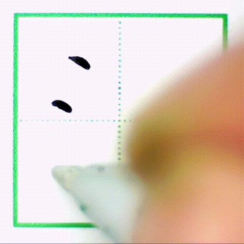 二年级下册写字表带拼音组词,小学二年级语文下册写字表全部