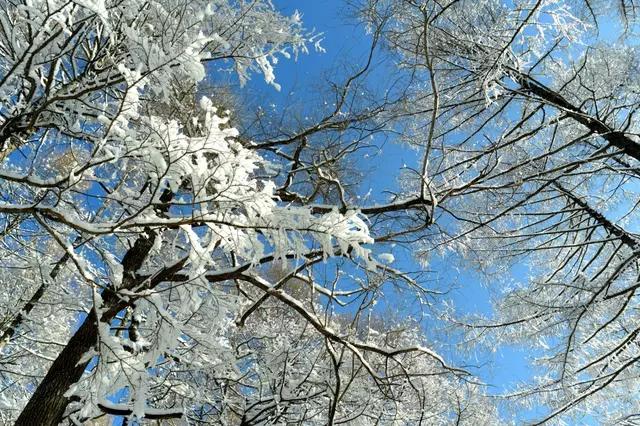 吉林省通化市柳河,吉林通化县柳河