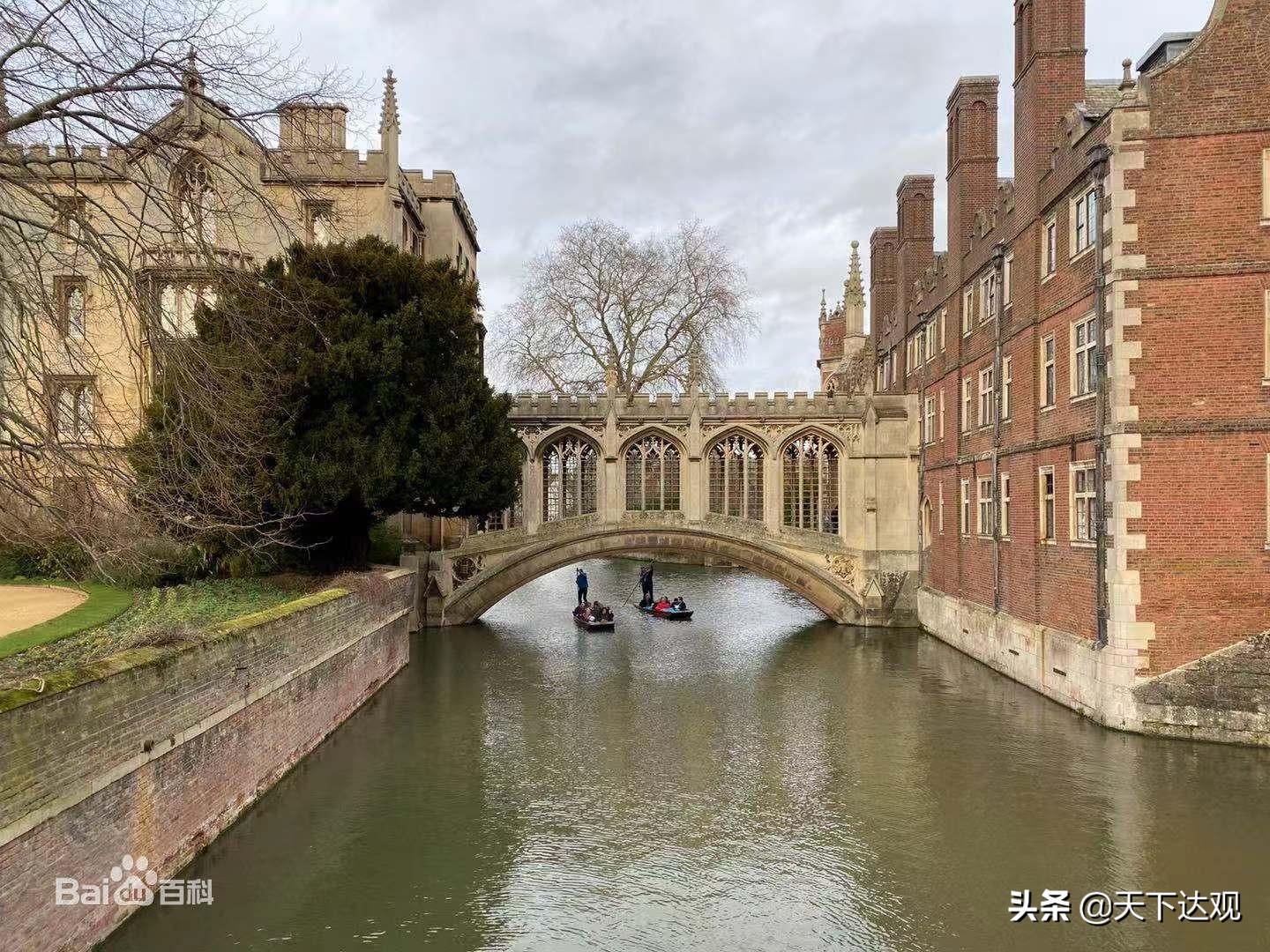 剑桥大学最强的学院,剑桥大学是世界顶尖大学吗