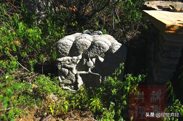 大可老师合集,大可老师讲座
