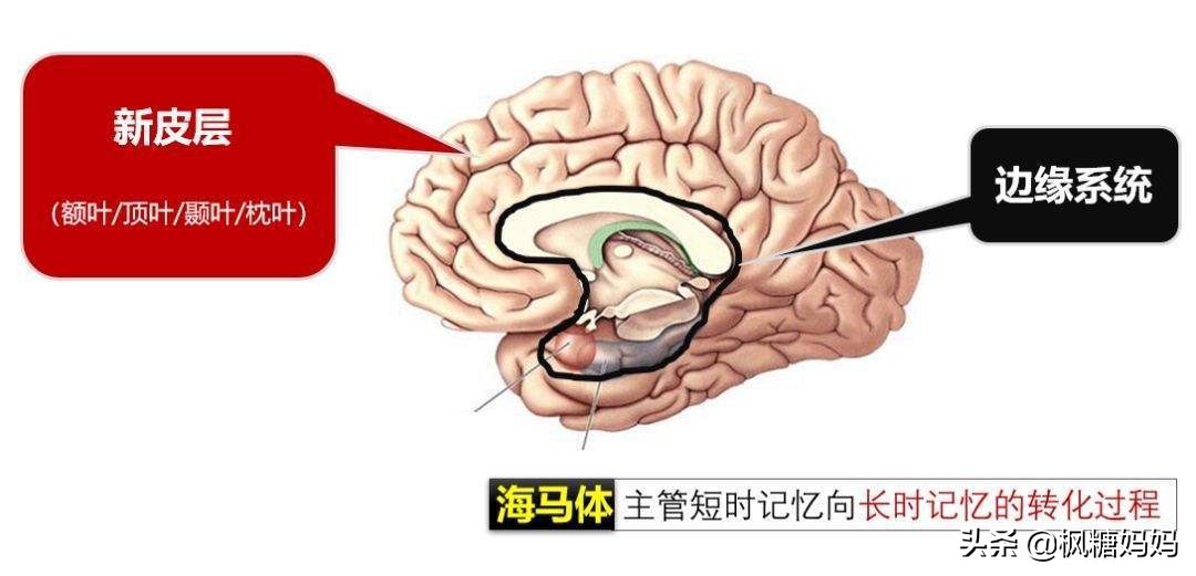 孩子有学习焦虑,孩子有学习恐惧症怎么办