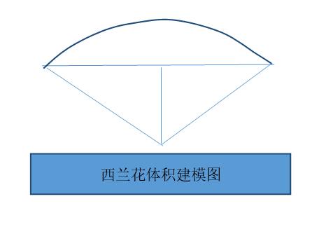 西兰花分几种,西兰花比例