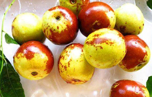 男性吃韭菜，能不能“助性”？营养师辟谣：韭菜成分并无特殊之处