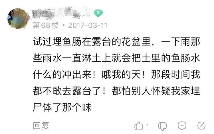 植物养出爆皮效果,月季埋鱼肠爆花了