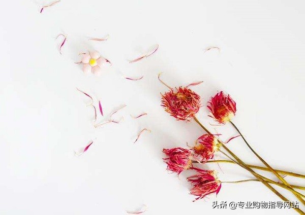 情人节送什么花最好又有寓意,情人节送什么颜色玫瑰花最好