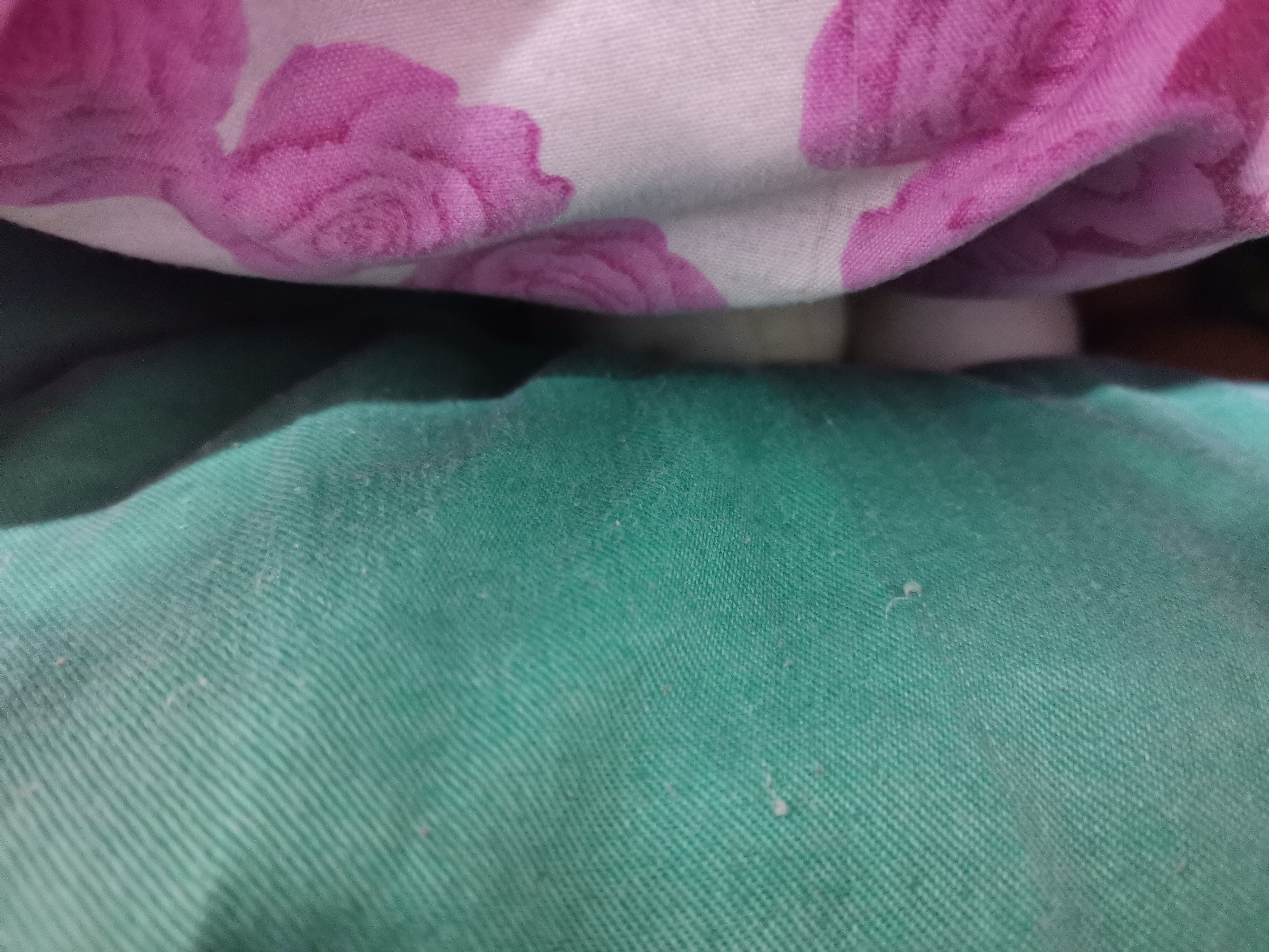 人工孵化鸭子怎么养,鸭子孵化详细全过程