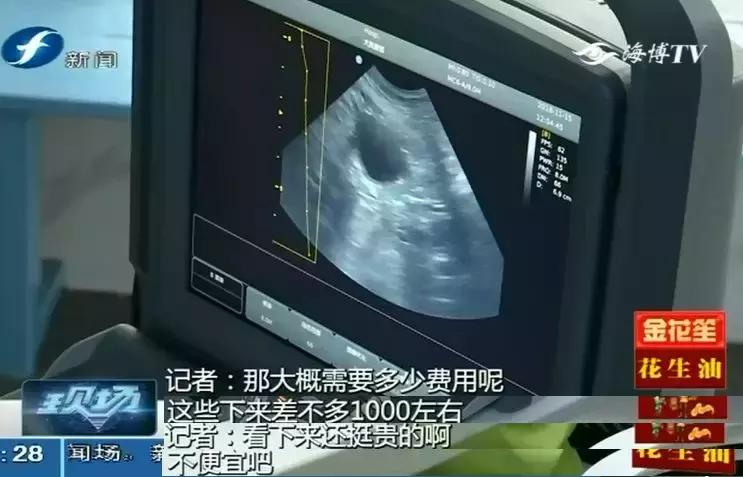 鍝瀹犵墿鍖婚櫌姝h涓嶄贡鏀惰垂,鏇濆厜瀹犵墿琛屼笟榛戝箷