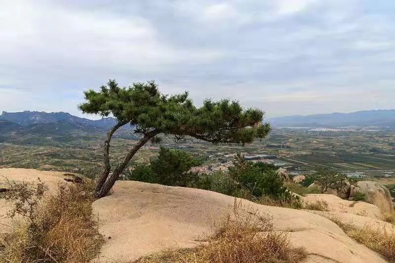 五莲哨所,五莲大青山哨所