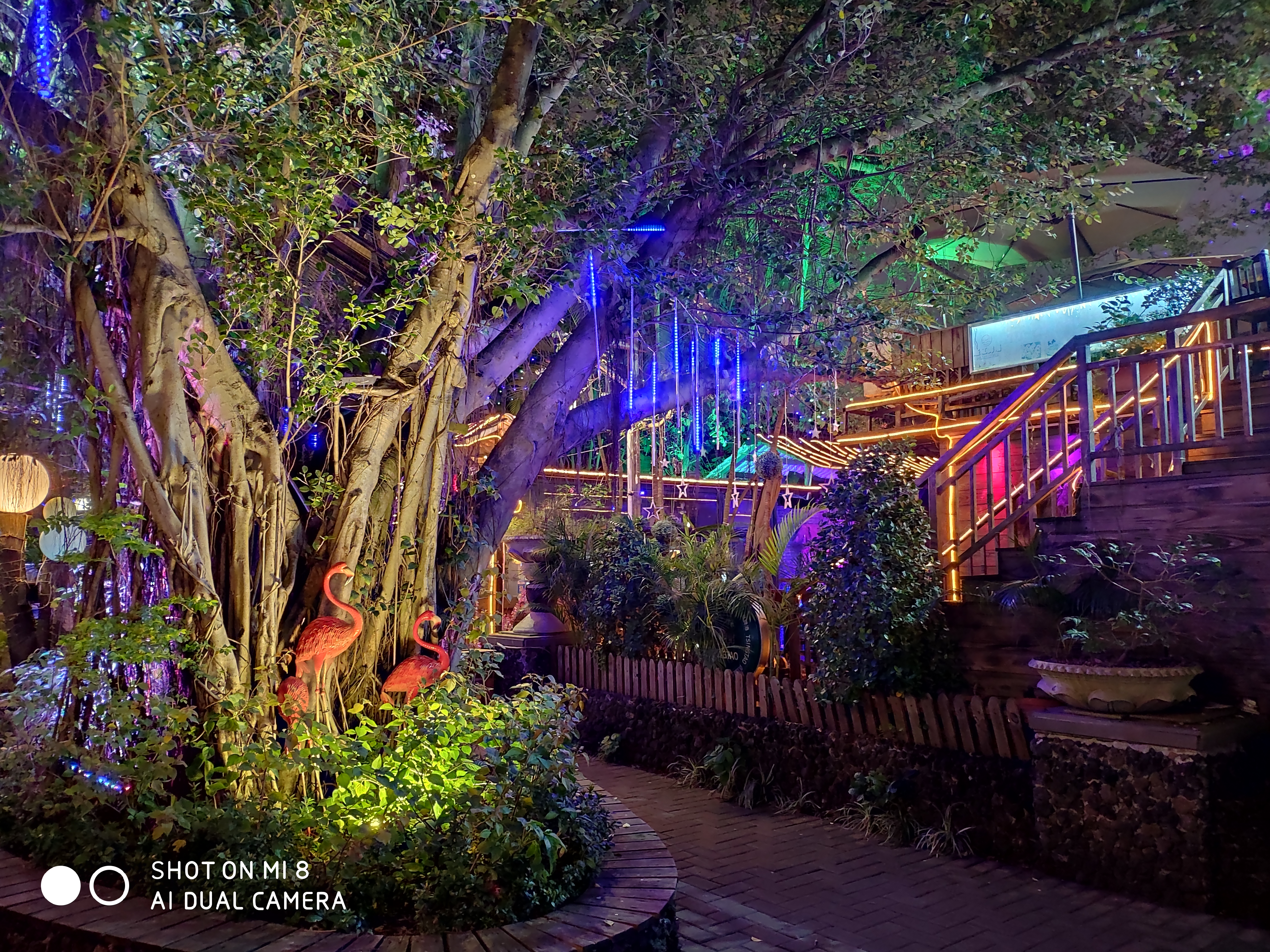 小米8的拍照怎么样？夜拍海口万绿园毫无压力