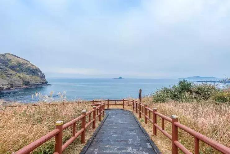 天津飞机票如何买便宜,飞机票白菜价格