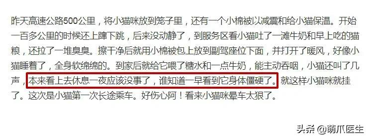 猫咪晕车吐了怎么办,猫咪晕车后呕吐了怎么办