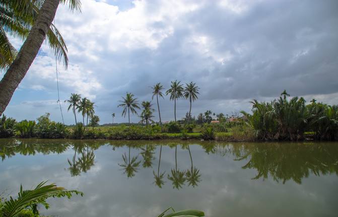 华人在越南经济地位,华人在越南的历史