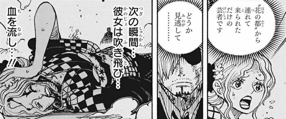 海贼王1031话情报图,海贼王1031话全