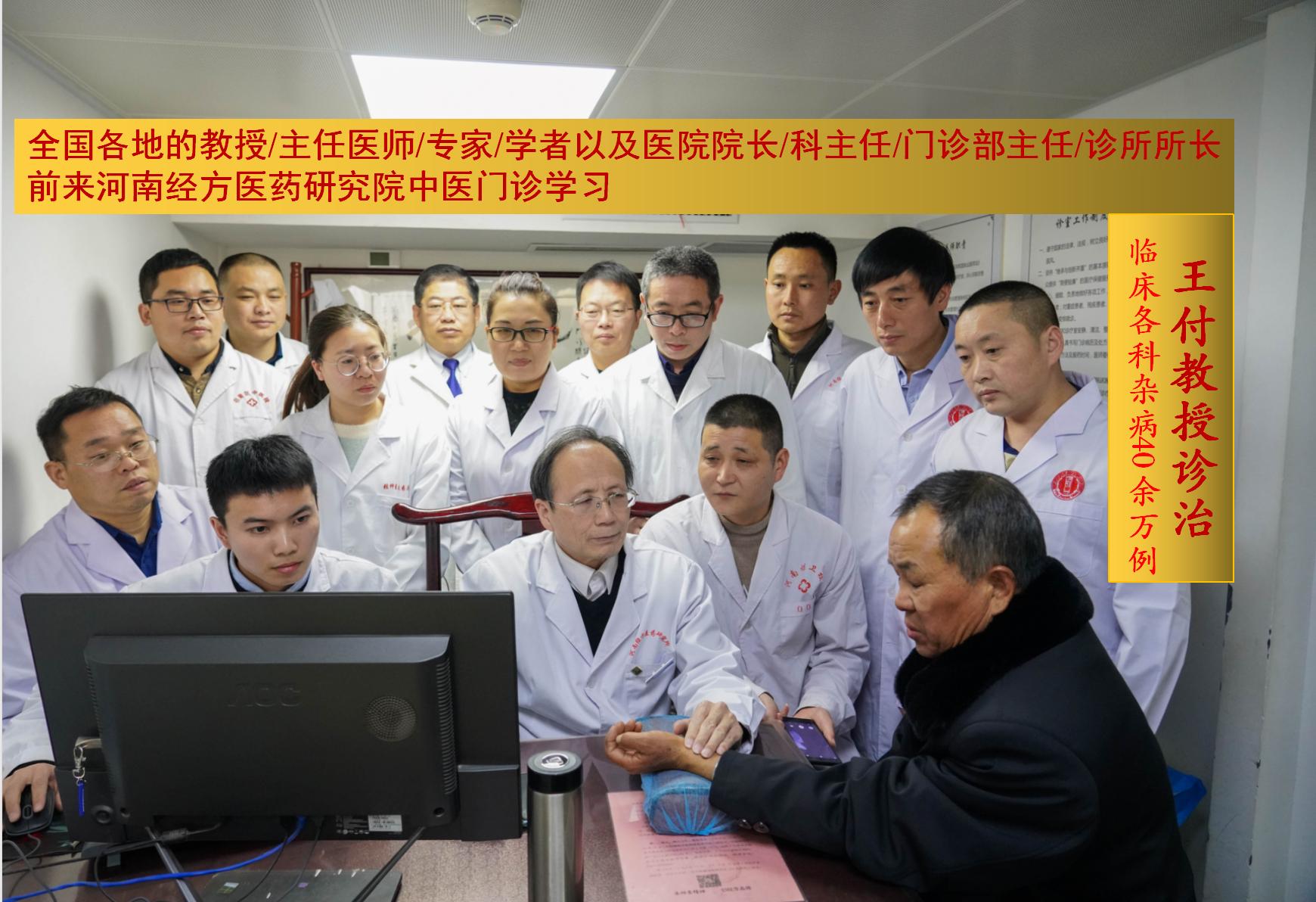 中医药大师王付教授讲话,中医专家王付教授视频