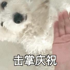 苏州城市学院现设几个学院,苏州城市学院官方网站网址