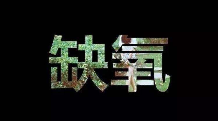 盗墓贼大多短命，真的是报应吗？