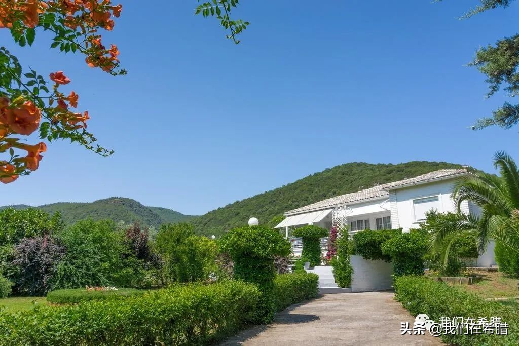 未来5-10年，我在希腊会做点什么？