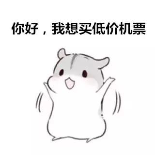 代购买机票骗局,代购买飞机票骗局