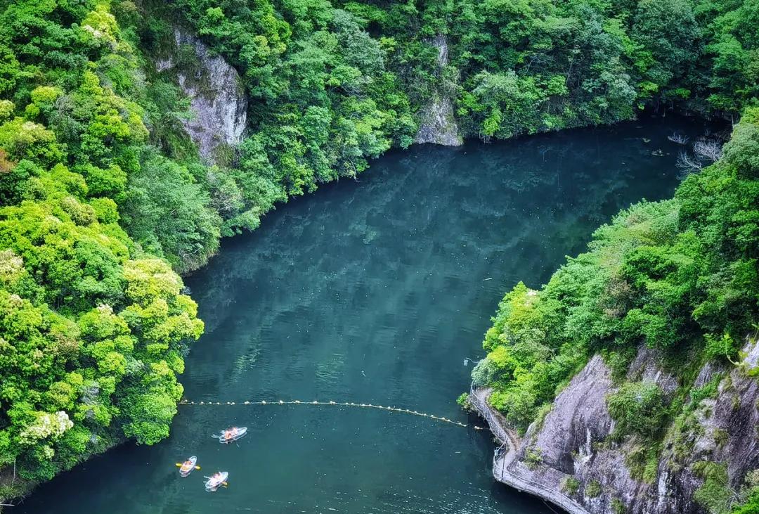 西溪湿地国家公园最近有什么节目,杭州西溪湿地附近大火
