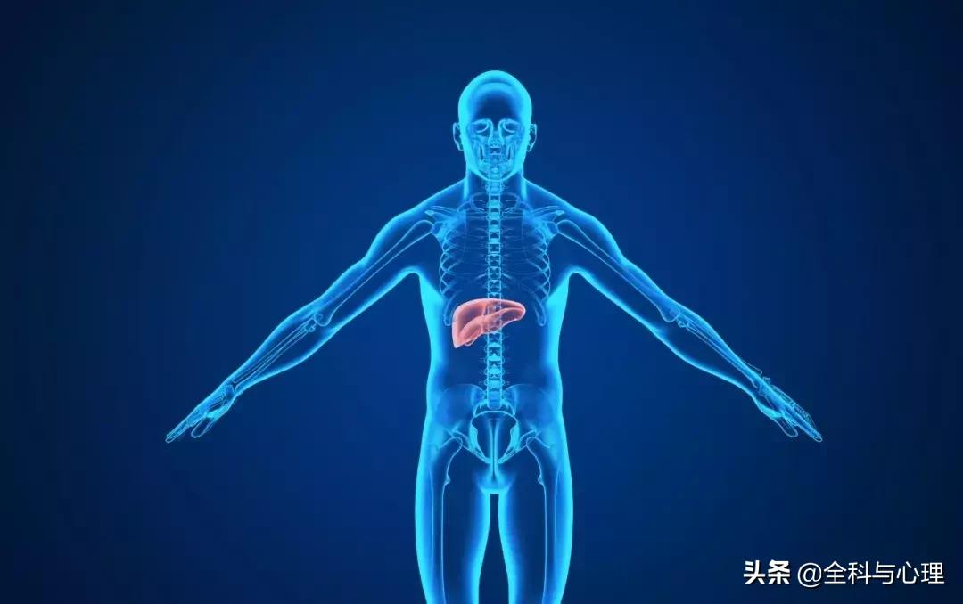 大小三阳区分表格,大小三阳区分图片