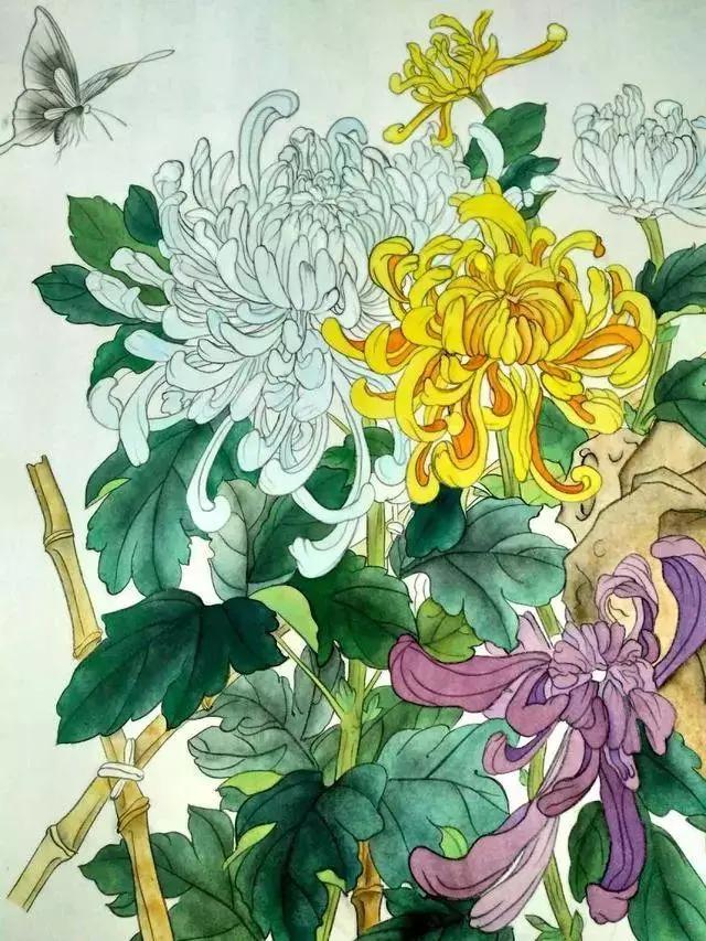 国画菊花教程工笔,工笔国画教程菊花蓝蝶
