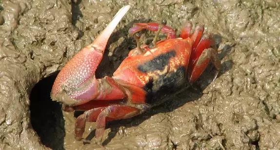 防城港怎么吃海鲜便宜不被坑,防城港干货海鲜有哪些