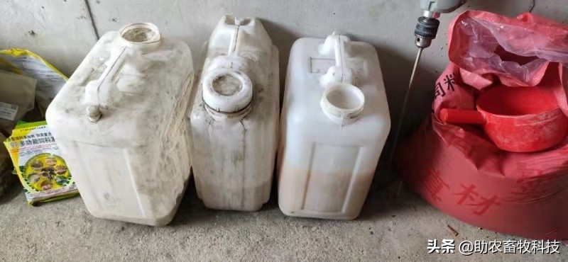 豆腐渣发酵饲养肉狗效果,发酵豆渣喂狗配方